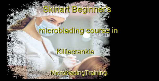 Skinart Beginner's microblading course in Killiecrankie | #MicrobladingTraining #MicrobladingClasses #SkinartTraining-United Kingdom