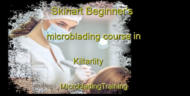 Skinart Beginner's microblading course in Kiltarlity | #MicrobladingTraining #MicrobladingClasses #SkinartTraining-United Kingdom