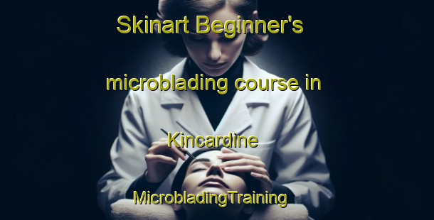 Skinart Beginner's microblading course in Kincardine | MicrobladingTraining | MicrobladingClasses | SkinartTraining-United Kingdom