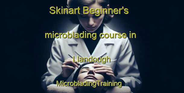 Skinart Beginner's microblading course in Llandough | MicrobladingTraining | MicrobladingClasses | SkinartTraining-United Kingdom