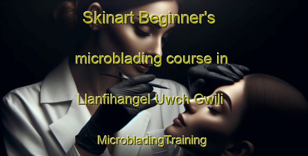 Skinart Beginner's microblading course in Llanfihangel Uwch Gwili | #MicrobladingTraining #MicrobladingClasses #SkinartTraining-United Kingdom