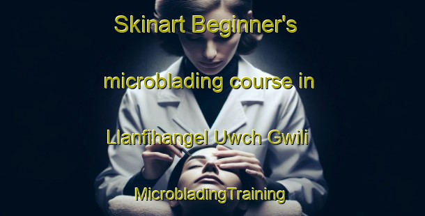 Skinart Beginner's microblading course in Llanfihangel Uwch Gwili | #MicrobladingTraining #MicrobladingClasses #SkinartTraining-United Kingdom