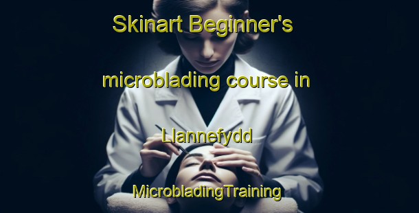 Skinart Beginner's microblading course in Llannefydd | #MicrobladingTraining #MicrobladingClasses #SkinartTraining-United Kingdom