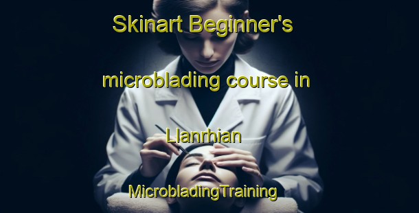 Skinart Beginner's microblading course in Llanrhian | MicrobladingTraining | MicrobladingClasses | SkinartTraining-United Kingdom