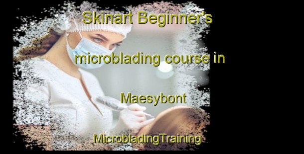 Skinart Beginner's microblading course in Maesybont | MicrobladingTraining | MicrobladingClasses | SkinartTraining-United Kingdom