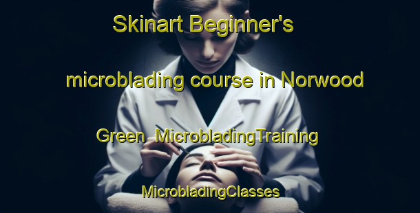 Skinart Beginner's microblading course in Norwood Green | #MicrobladingTraining #MicrobladingClasses #SkinartTraining-United Kingdom