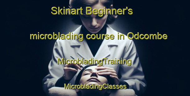 Skinart Beginner's microblading course in Odcombe | #MicrobladingTraining #MicrobladingClasses #SkinartTraining-United Kingdom