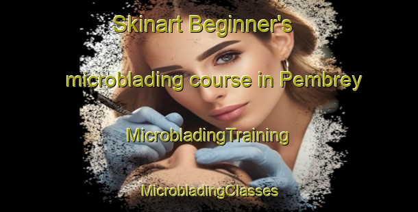 Skinart Beginner's microblading course in Pembrey | #MicrobladingTraining #MicrobladingClasses #SkinartTraining-United Kingdom