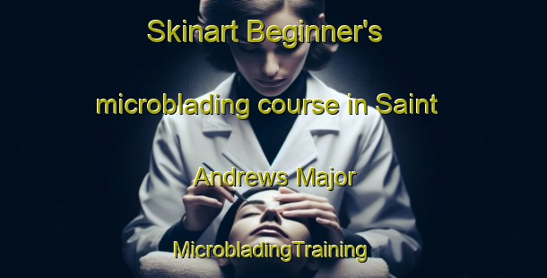 Skinart Beginner's microblading course in Saint Andrews Major | #MicrobladingTraining #MicrobladingClasses #SkinartTraining-United Kingdom