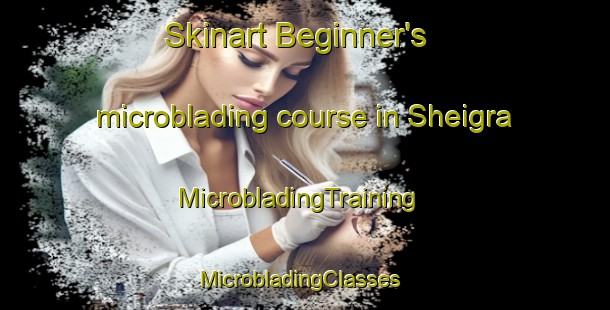 Skinart Beginner's microblading course in Sheigra | MicrobladingTraining | MicrobladingClasses | SkinartTraining-United Kingdom
