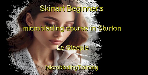 Skinart Beginner's microblading course in Sturton Le Steeple | MicrobladingTraining | MicrobladingClasses | SkinartTraining-United Kingdom