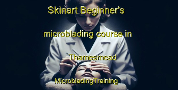 Skinart Beginner's microblading course in Thamesmead | MicrobladingTraining | MicrobladingClasses | SkinartTraining-United Kingdom