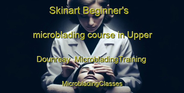 Skinart Beginner's microblading course in Upper Dounreay | #MicrobladingTraining #MicrobladingClasses #SkinartTraining-United Kingdom