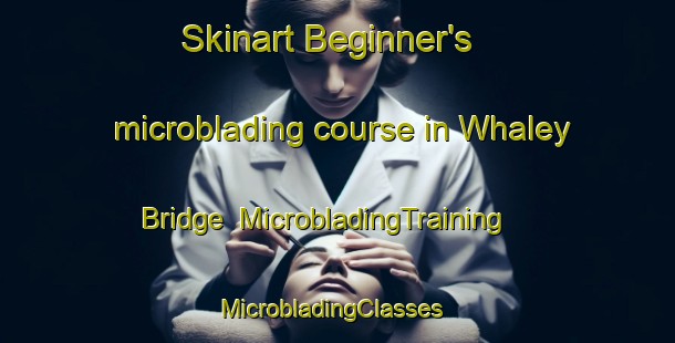 Skinart Beginner's microblading course in Whaley Bridge | MicrobladingTraining | MicrobladingClasses | SkinartTraining-United Kingdom
