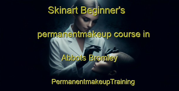 Skinart Beginner's permanentmakeup course in Abbots Bromley | #PermanentmakeupTraining #PermanentmakeupClasses #SkinartTraining-United Kingdom