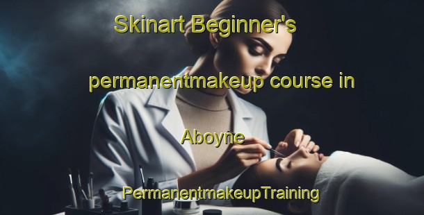 Skinart Beginner's permanentmakeup course in Aboyne | #PermanentmakeupTraining #PermanentmakeupClasses #SkinartTraining-United Kingdom