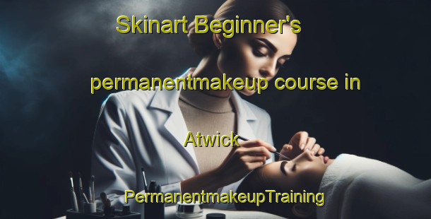 Skinart Beginner's permanentmakeup course in Atwick | #PermanentmakeupTraining #PermanentmakeupClasses #SkinartTraining-United Kingdom