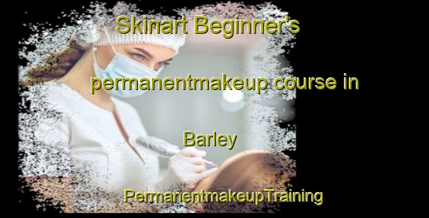 Skinart Beginner's permanentmakeup course in Barley | #PermanentmakeupTraining #PermanentmakeupClasses #SkinartTraining-United Kingdom