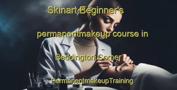 Skinart Beginner's permanentmakeup course in Beddington Corner | #PermanentmakeupTraining #PermanentmakeupClasses #SkinartTraining-United Kingdom