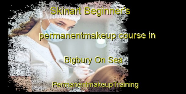 Skinart Beginner's permanentmakeup course in Bigbury On Sea | PermanentmakeupTraining | PermanentmakeupClasses | SkinartTraining-United Kingdom