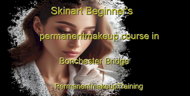 Skinart Beginner's permanentmakeup course in Bonchester Bridge | #PermanentmakeupTraining #PermanentmakeupClasses #SkinartTraining-United Kingdom