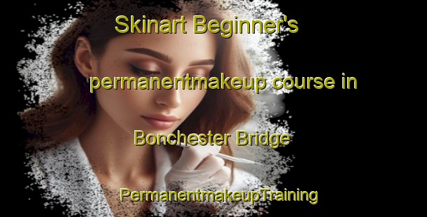 Skinart Beginner's permanentmakeup course in Bonchester Bridge | PermanentmakeupTraining | PermanentmakeupClasses | SkinartTraining-United Kingdom