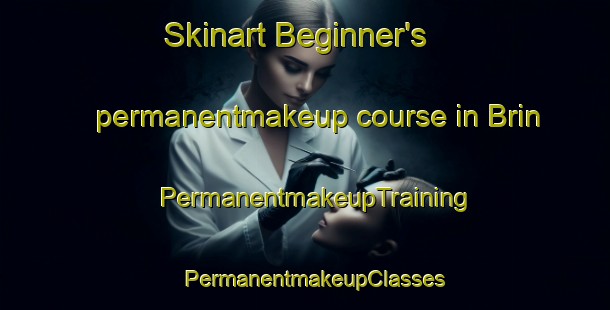 Skinart Beginner's permanentmakeup course in Brin | PermanentmakeupTraining | PermanentmakeupClasses | SkinartTraining-United Kingdom