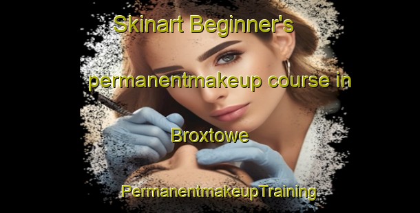 Skinart Beginner's permanentmakeup course in Broxtowe | #PermanentmakeupTraining #PermanentmakeupClasses #SkinartTraining-United Kingdom