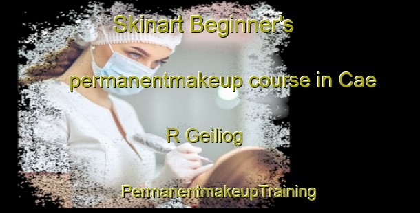 Skinart Beginner's permanentmakeup course in Cae R Geiliog | #PermanentmakeupTraining #PermanentmakeupClasses #SkinartTraining-United Kingdom