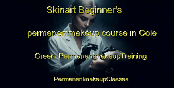 Skinart Beginner's permanentmakeup course in Cole Green | #PermanentmakeupTraining #PermanentmakeupClasses #SkinartTraining-United Kingdom