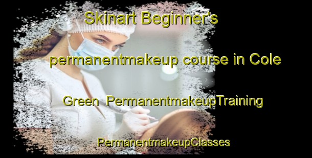 Skinart Beginner's permanentmakeup course in Cole Green | #PermanentmakeupTraining #PermanentmakeupClasses #SkinartTraining-United Kingdom