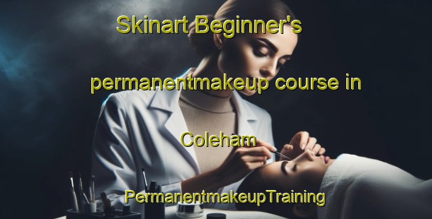 Skinart Beginner's permanentmakeup course in Coleham | #PermanentmakeupTraining #PermanentmakeupClasses #SkinartTraining-United Kingdom