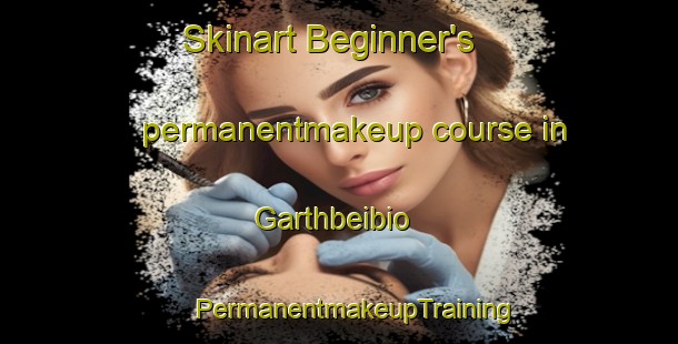 Skinart Beginner's permanentmakeup course in Garthbeibio | #PermanentmakeupTraining #PermanentmakeupClasses #SkinartTraining-United Kingdom