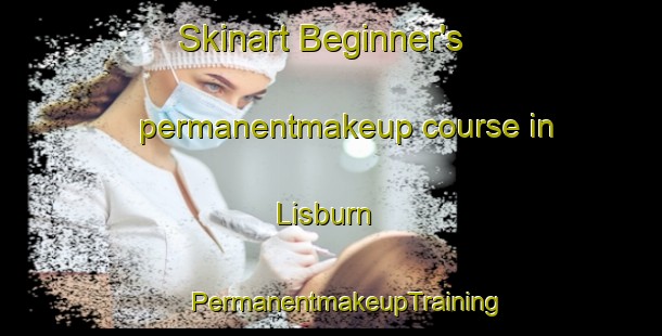 Skinart Beginner's permanentmakeup course in Lisburn | #PermanentmakeupTraining #PermanentmakeupClasses #SkinartTraining-United Kingdom