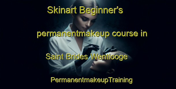 Skinart Beginner's permanentmakeup course in Saint Brides Wentlooge | #PermanentmakeupTraining #PermanentmakeupClasses #SkinartTraining-United Kingdom