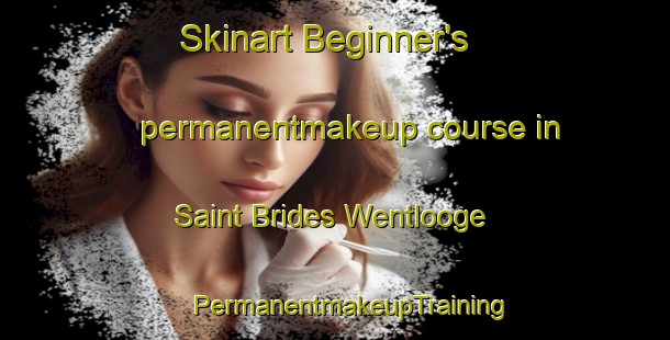 Skinart Beginner's permanentmakeup course in Saint Brides Wentlooge | #PermanentmakeupTraining #PermanentmakeupClasses #SkinartTraining-United Kingdom