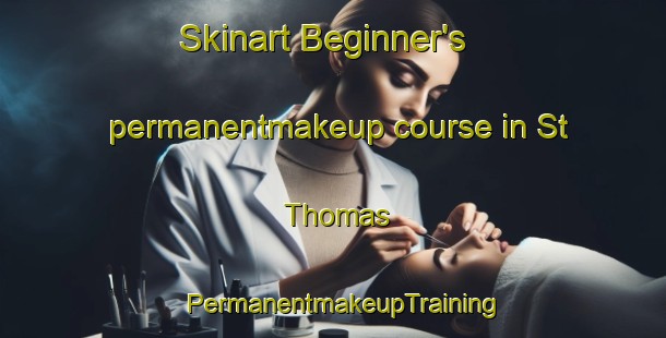 Skinart Beginner's permanentmakeup course in St  Thomas | PermanentmakeupTraining | PermanentmakeupClasses | SkinartTraining-United Kingdom