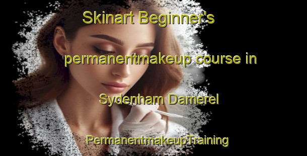 Skinart Beginner's permanentmakeup course in Sydenham Damerel | PermanentmakeupTraining | PermanentmakeupClasses | SkinartTraining-United Kingdom
