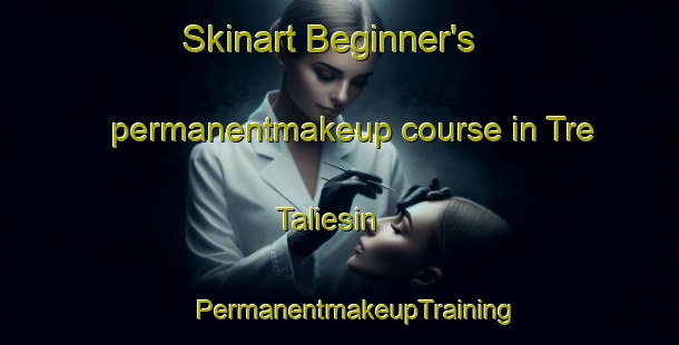 Skinart Beginner's permanentmakeup course in Tre Taliesin | #PermanentmakeupTraining #PermanentmakeupClasses #SkinartTraining-United Kingdom