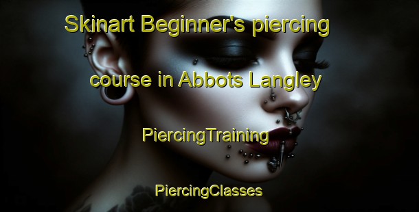 Skinart Beginner's piercing course in Abbots Langley | #PiercingTraining #PiercingClasses #SkinartTraining-United Kingdom