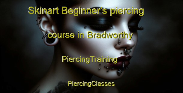 Skinart Beginner's piercing course in Bradworthy | #PiercingTraining #PiercingClasses #SkinartTraining-United Kingdom