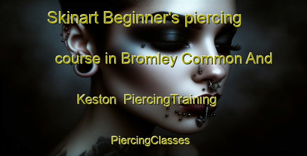 Skinart Beginner's piercing course in Bromley Common And Keston | PiercingTraining | PiercingClasses | SkinartTraining-United Kingdom