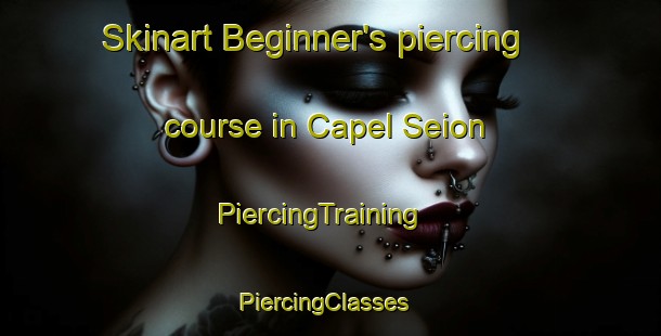 Skinart Beginner's piercing course in Capel Seion | PiercingTraining | PiercingClasses | SkinartTraining-United Kingdom