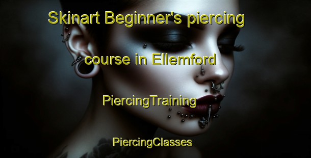 Skinart Beginner's piercing course in Ellemford | PiercingTraining | PiercingClasses | SkinartTraining-United Kingdom