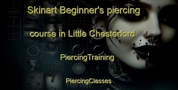 Skinart Beginner's piercing course in Little Chesterford | #PiercingTraining #PiercingClasses #SkinartTraining-United Kingdom