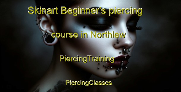 Skinart Beginner's piercing course in Northlew | PiercingTraining | PiercingClasses | SkinartTraining-United Kingdom