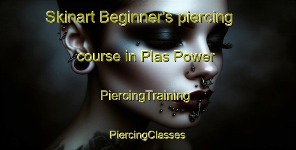 Skinart Beginner's piercing course in Plas Power | #PiercingTraining #PiercingClasses #SkinartTraining-United Kingdom