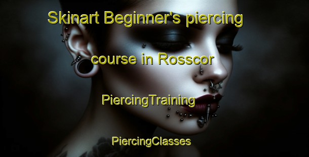Skinart Beginner's piercing course in Rosscor | PiercingTraining | PiercingClasses | SkinartTraining-United Kingdom