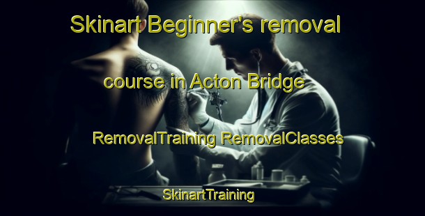 Skinart Beginner's removal course in Acton Bridge | #RemovalTraining #RemovalClasses #SkinartTraining-United Kingdom