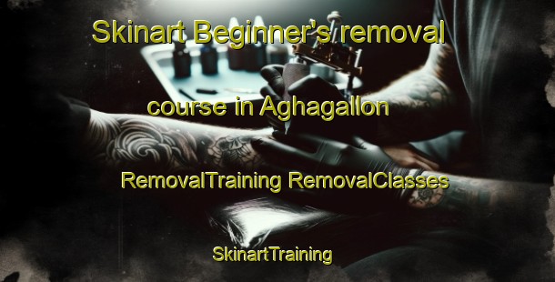 Skinart Beginner's removal course in Aghagallon | #RemovalTraining #RemovalClasses #SkinartTraining-United Kingdom